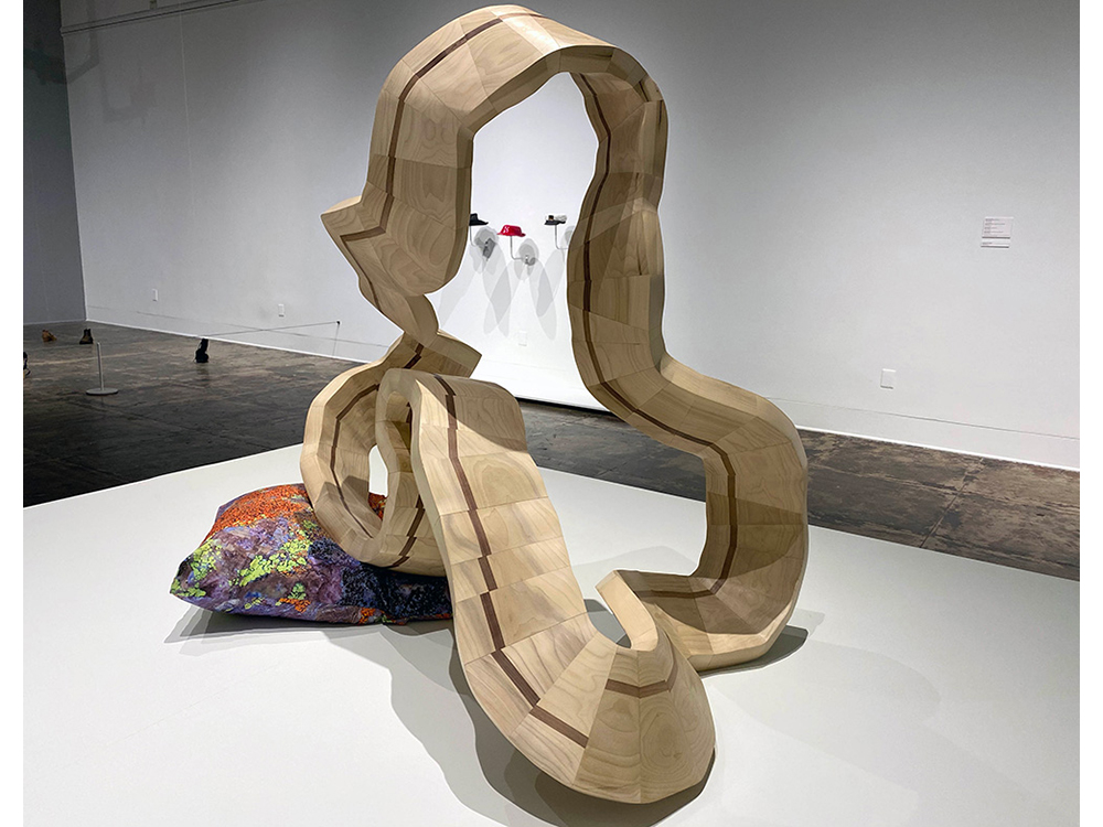 Nonorientable (Lichen)