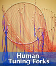 Human Tuning Forks