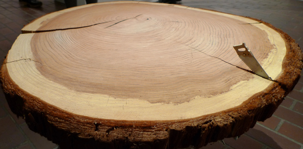 Cutting Up to Build Down