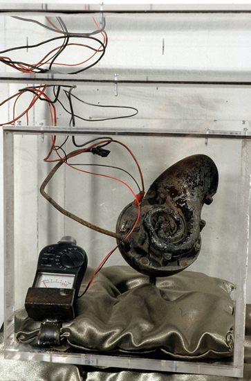 The Love That Won’t Shut Up