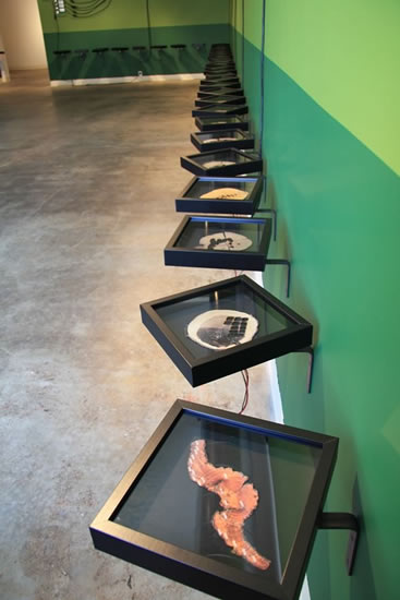 Timeframe (61 Trees Per Person)